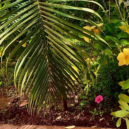 Stan-Inn, North Goa, Vagator, With Strong Wifi,Free Private Parking & Kitchen, Can Cook Where You Stay Dış mekan fotoğraf