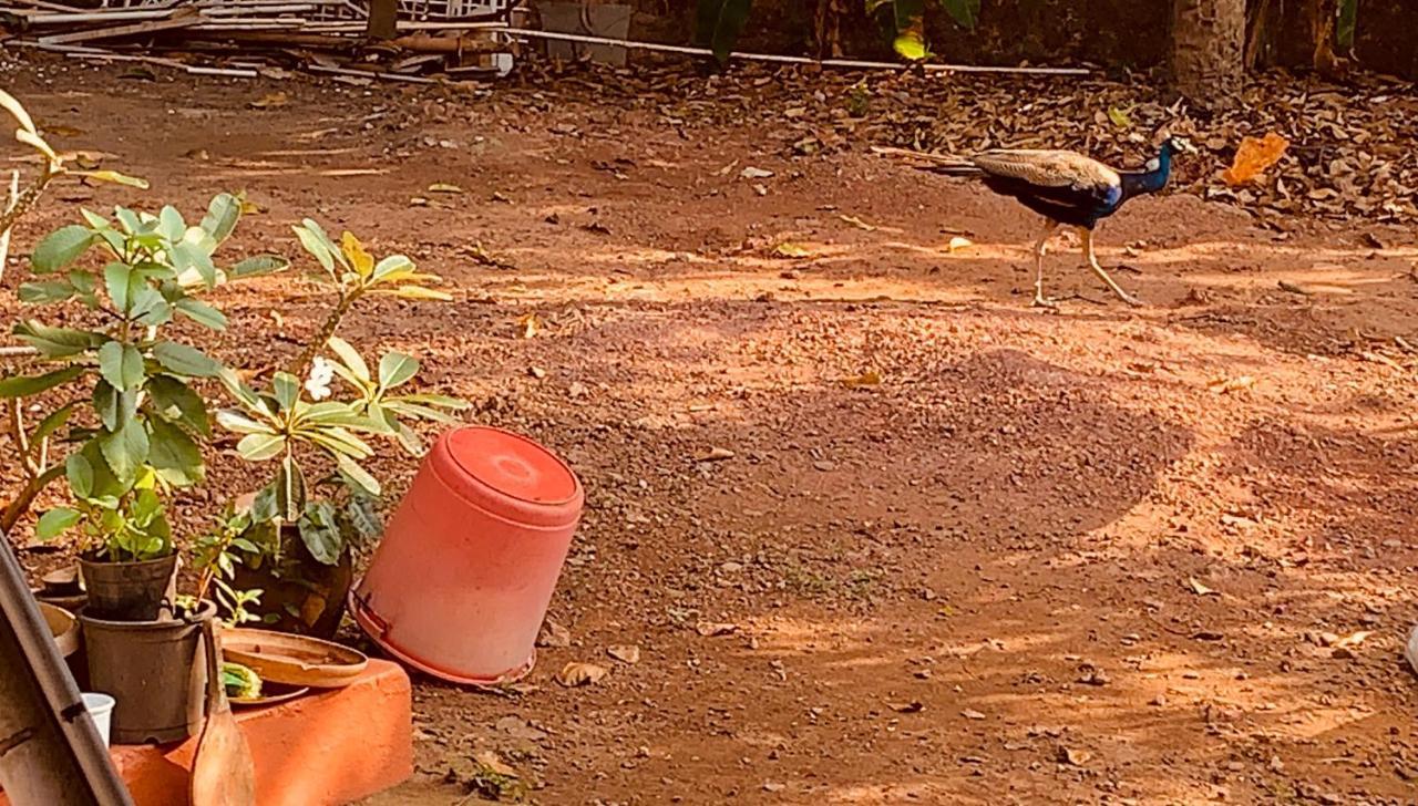 Stan-Inn, North Goa, Vagator, With Strong Wifi,Free Private Parking & Kitchen, Can Cook Where You Stay Dış mekan fotoğraf
