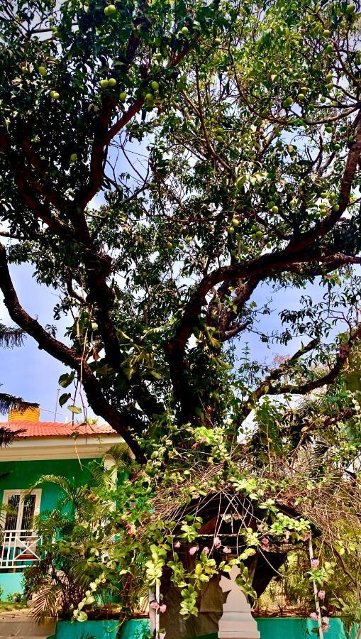 Stan-Inn, North Goa, Vagator, With Strong Wifi,Free Private Parking & Kitchen, Can Cook Where You Stay Dış mekan fotoğraf