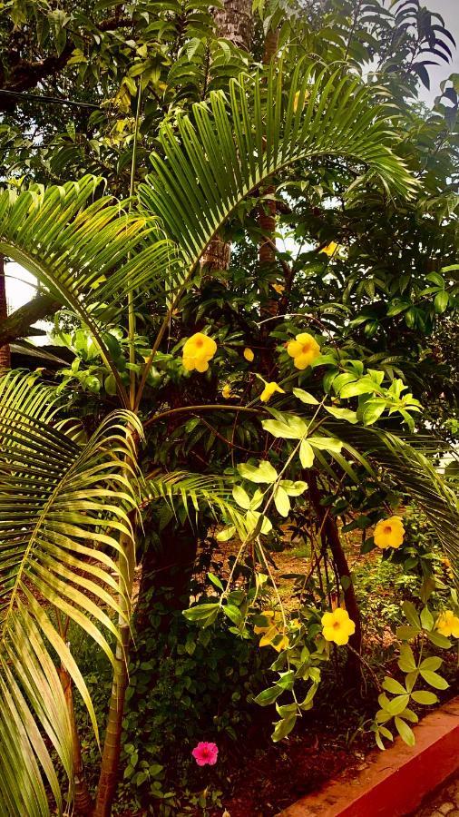 Stan-Inn, North Goa, Vagator, With Strong Wifi,Free Private Parking & Kitchen, Can Cook Where You Stay Dış mekan fotoğraf