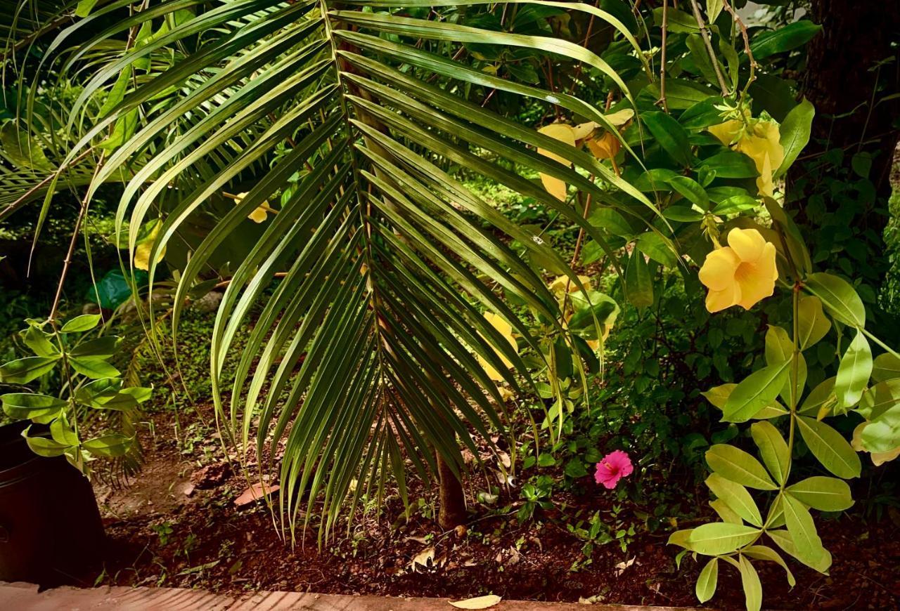 Stan-Inn, North Goa, Vagator, With Strong Wifi,Free Private Parking & Kitchen, Can Cook Where You Stay Dış mekan fotoğraf